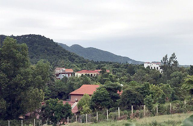 Vì[-]sao[-]chưa[-]công[-]bố[-]kết[-]luận[-]thanh[-]tra[-]đất[-]rừng[-]Sóc[-]Sơn?